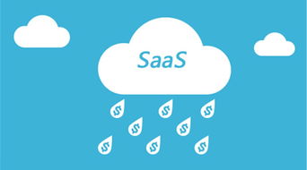 网络游戏软件技术研发的现状与转型 从传统ERP到ServiceHot SaaS的演进